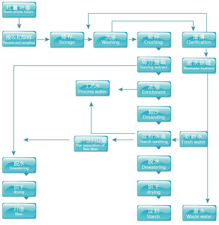 Process flow chart of sweet potato starch processing